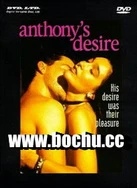 揉她的双乳翻云覆雨视频