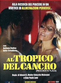 我和一个少妇的往事